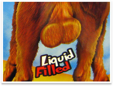 Camel Balls, Extra Sour, Liquid Filled